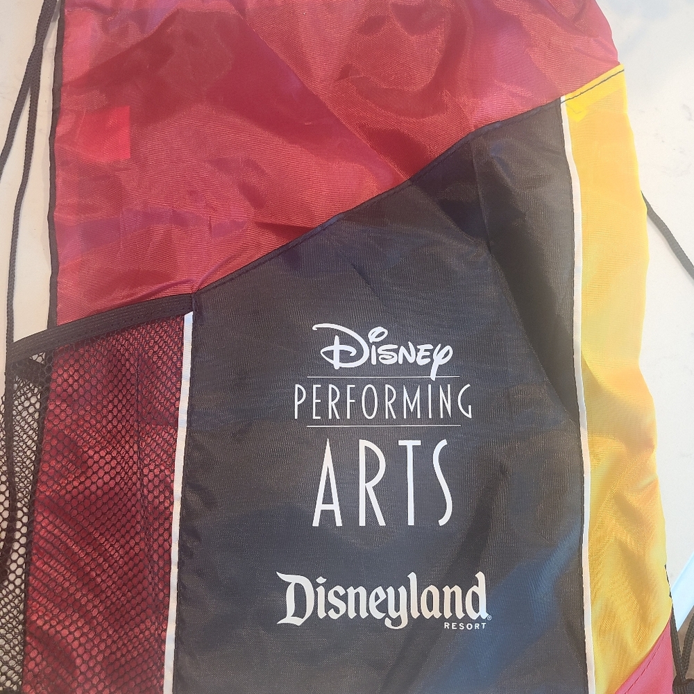 Disney cinch sack